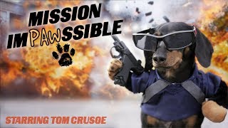 MISSION IMPAWSSIBLE  Funny Wiener Dog Action Movie [upl. by Bell]