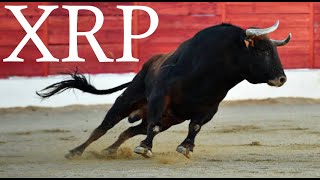 📈WARNING quotBITCOIN ETF IS GETTING APPROVED TOMORROWquot  XRP BULLRUN TO 1 INCOMING📈 [upl. by Droffig511]