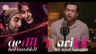 Ae dil hai mushkil X Arikil inj njan varaam [upl. by Hazeefah]