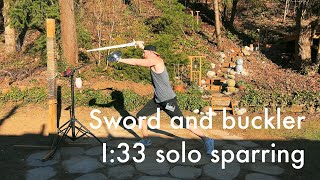 Sword and Buckler SOLO sparring practice [upl. by Airtal142]