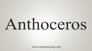 How To Say Anthoceros [upl. by Aneled807]