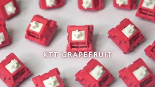 KTT Grapefruit  027 Budget linear switch the new best [upl. by Kelcy]