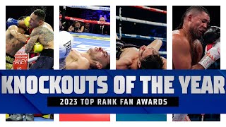 The 4 Best Knockouts of 2023  FIGHT HIGHLIGHTS [upl. by Epolulot]