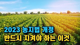 농지법 개정 농지투자 반드시 이것을 지켜야 합니다 [upl. by Trev]