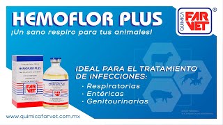 La Solución Efectiva Hemoflor Plus  Contra Infecciones Respiratorias en Porcinos y Bovinos [upl. by Nyleimaj203]