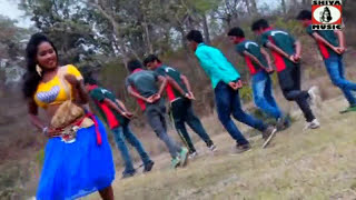 Purulia Song 2022  Jhule Jhule Ache  Biswanath amp Anita Das  Superhit  Manbhum Bangla Song [upl. by Singh]