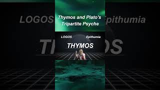 Thymos and Platos Tripartite Psyche [upl. by Eiramana]