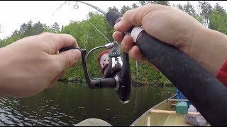 WayTooEasy Walleye Fishing on Sawbill Lake BWCA [upl. by Hedvig223]