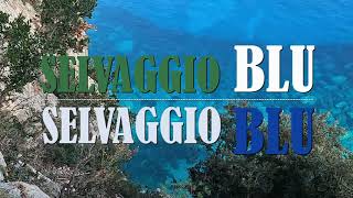 Selvaggio Blu  è selvaggio è una perla è un privilegio è un ricordo [upl. by Quar]