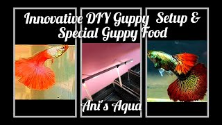 SPECIAL GUPPY FOOD amp MOST UNIQUE GUPPY FISH SETUP [upl. by Gratianna]