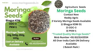 Contact No 91 8123143554 Moringa Seeds  Bhagya KDM  ODC  3 Seeds  PKM  1 Seeds Available [upl. by Siroled767]