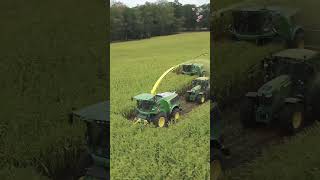 This team is strongreaper silagemachine modern agriculture shorts viralvideo youtubeshorts [upl. by Orson471]