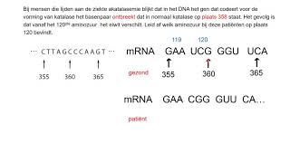 oefeningen examenopgaven met DNA  mRNA Geschikt voor vwo [upl. by Ycam973]