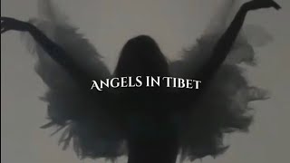 Amaare  Angels in Tibet  Versão Tik Tok   Tradução  PTBR [upl. by Joannes]