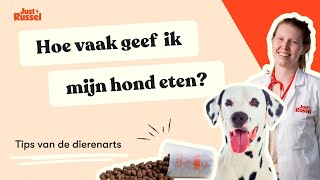 Hoeveel voeding moet ik mijn hond geven [upl. by Ahsika649]