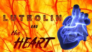 Luteolin and the Heart [upl. by Filahk]