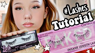 TUTORIAL LASHES KLEBEN für ANFÄNGER 🎀 WIMPERN AUFKLEBEN 🎀 dm HAUL  HEY ISI [upl. by Glennis]