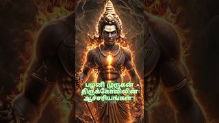 பழனி முருகன் திருக்கோவிலின் ஆச்சரியங்கள் facts murugan palani muruga bogar tamil history [upl. by Malkah]