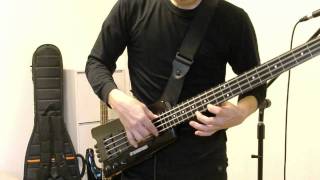 STEINBERGER XL2A Fretless Part2 [upl. by Ylloj300]