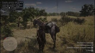 Red Dead Redemption 2 Cazando Bisonte legendario Tatanka [upl. by Carleen]