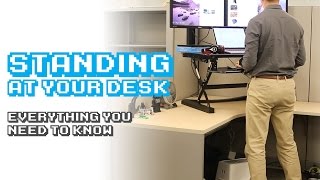 Standing Desks Everything You Need to Know [upl. by Buseck]