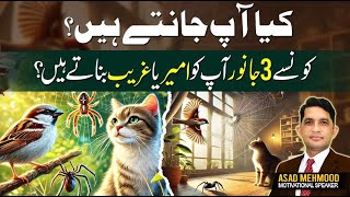 Animals that bring poverty and wealth in the house  Asad Mehmood Inspirational Speaker [upl. by Kriss]