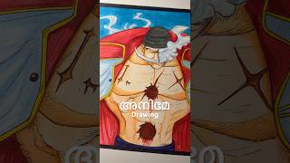 അനിമേ drawing Onepiece shorts [upl. by Koblick735]