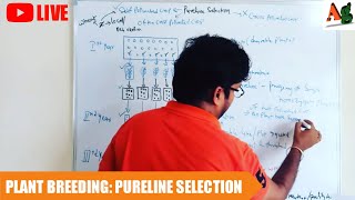 Pureline Selection Method of Plant Breeding  Pureline Theory  Concept of Pureline  Agriculture [upl. by Amoakuh]