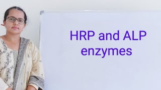 Horseradish Peroxidase and alkaline phosphatase enzymes enzyme reactions Why HRP is used in ELISA [upl. by Acinaj250]