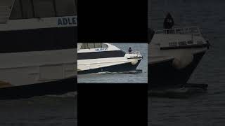 HIGH SPEED CATAMARAN quotADLER CATquot shorts shipspotting ship [upl. by Atina]