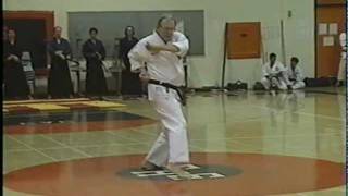 Nick Adler Sunsu Kata 1996 [upl. by Giarc]