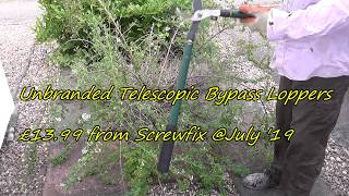 Product Review Budget Telescopic Bypass Loppers From Screwfix [upl. by Shifra426]