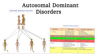 Pathology 22 Autosomal Dominant Disorders  Xanuunada la dhaxlo ee ubadka ka soo ifbaxa [upl. by Trilly]