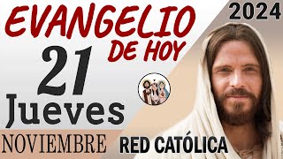 Evangelio de Hoy Jueves 21 de Noviembre de 2024  REFLEXIÓN  Red Catolica [upl. by Intruok]