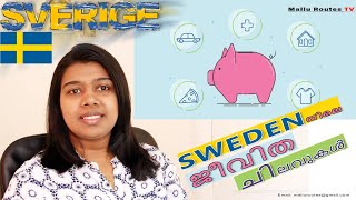 Living Expense in Sweden EngSub Indians in Sweden [upl. by Aritak]