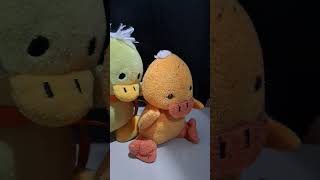 La ia ia patos nosequeponerxd meme humor shortvideo [upl. by Allemrac173]