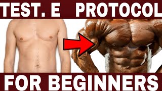 Testosterone Enanthate Cycle For Beginners  Lenght  Syringe  Frequency  w Dr Tony Huge [upl. by Nonnair644]