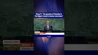 Wang Yi ‘The question of Palestine is the biggest wound to human conscience’ [upl. by Yordan415]