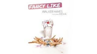 Walker Hayes Kesha  Fancy Like feat Kesha [upl. by Bettina]