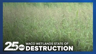 Lake Waco Wetlands in state of destruction as the area celebrates its 20th anniversary [upl. by Kcirded]