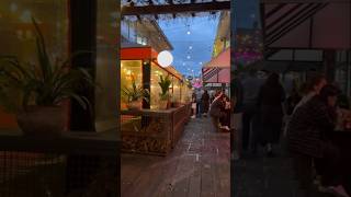 Ponsonby Night Markets Auckland New Zealand North Island Travel Tips Hidden Gems nightmarket [upl. by Kendy932]