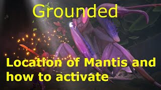 Grounded Location of Mantis  How to Activate Mantis [upl. by Hamian]