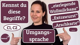 Deutsch C1 C2 Kennst du diese Begriffe aus der Umgangssprache [upl. by Noda]