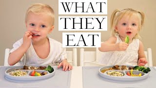 What Our VEGANPLANTBASED Children Eat PART 12 [upl. by Keyes]