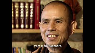 A Cloud Never Dies biographical documentary of Zen Master Thich Nhat Hanh narrated by Peter Coyote [upl. by Deirdre]