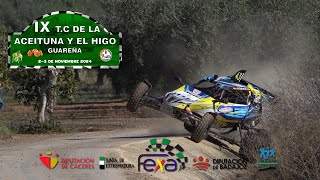 IX TC De la Aceituna y el Higo de Guareña [upl. by Mushro305]