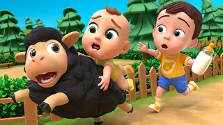 Baa Baa Black Sheep Song  Lalafun Nursery Rhymes amp Kids Songs [upl. by Nylissej]