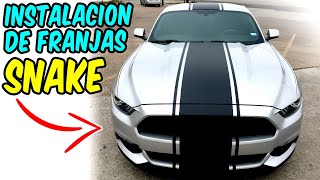 Instalacion de Franjas Estilo Snake 2019 Mustang wrap [upl. by Catlin]