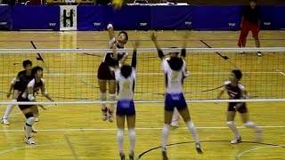 金蘭会中vs北沢中 第1セット 準々決勝 2019バレーボール中学選手権（女子） [upl. by Guido596]