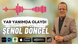 Hep Damar Full Damar Elektro Bağlamalı Arabesk quot Şenol Döngel  Yar Yanımda Olaydı quot [upl. by Ally938]